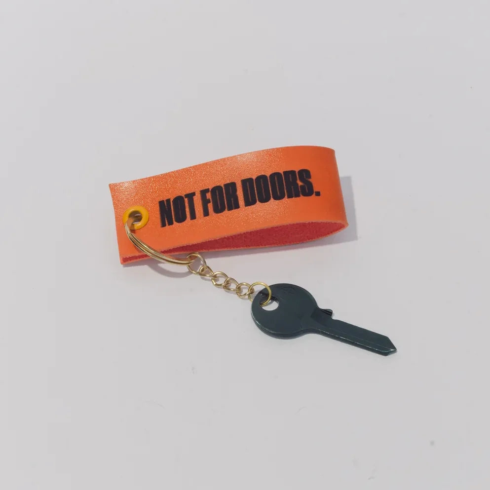 The keyring with the dark key, photographed on white